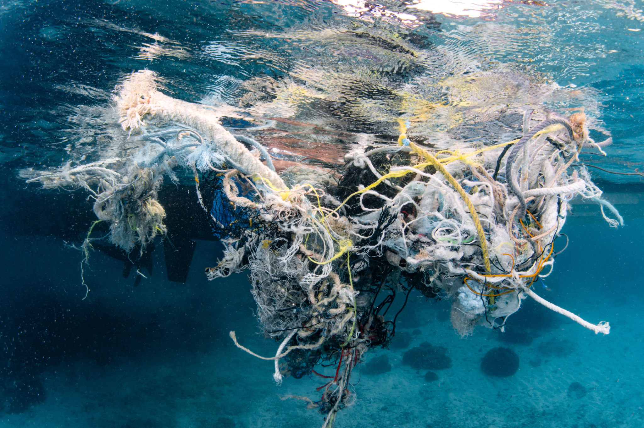 ocean cleanup