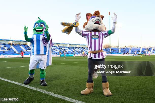 Super Pepino, mascot of CD Leganes, and Pepe Zorrillo, mascot of Real Valladolid, wave the fans prior to the LaLiga Hypermotion match between CD...