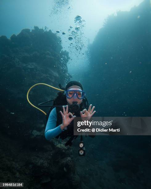 diver doing an ok sign in indonesia - didier marti stock pictures, royalty-free photos & images