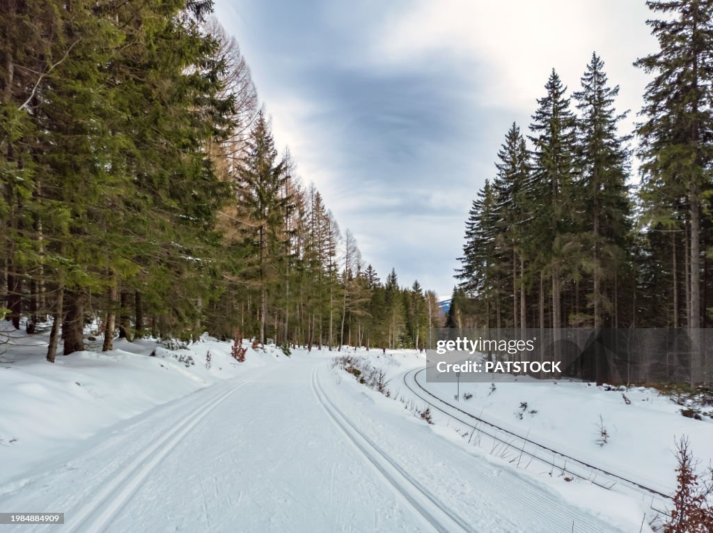 Cross-country ski trail