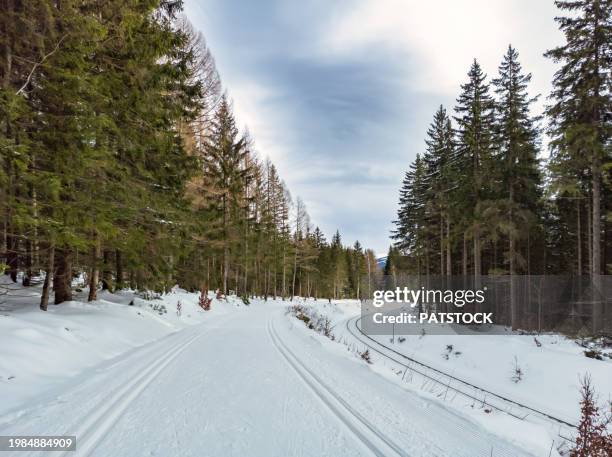 cross-country ski trail - silesia stock pictures, royalty-free photos & images