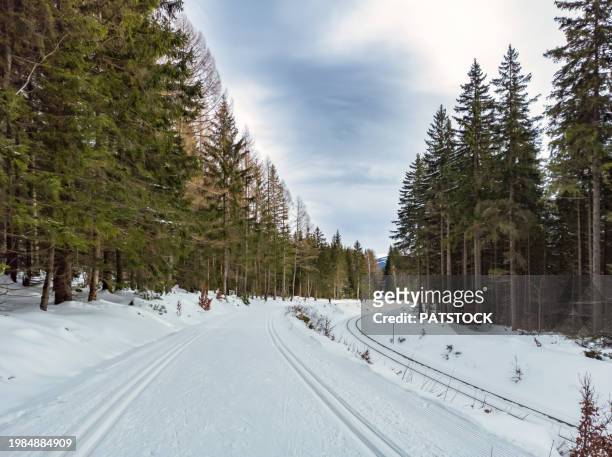 cross-country ski trail - silesia 個照片及圖片檔