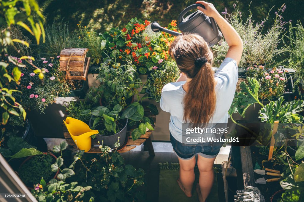 Woman watering plants in balcony