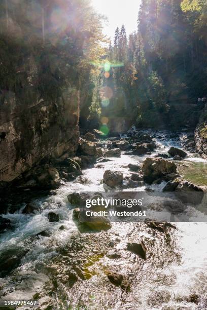 germany, bavaria,breitach river flowing through breitachklamm canyon - breitachklamm canyon stock pictures, royalty-free photos & images