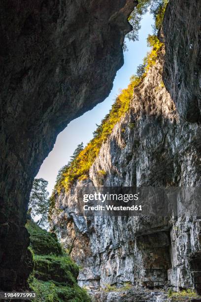 germany, bavaria, steep wall of breitachklamm canyon - breitachklamm canyon stock pictures, royalty-free photos & images