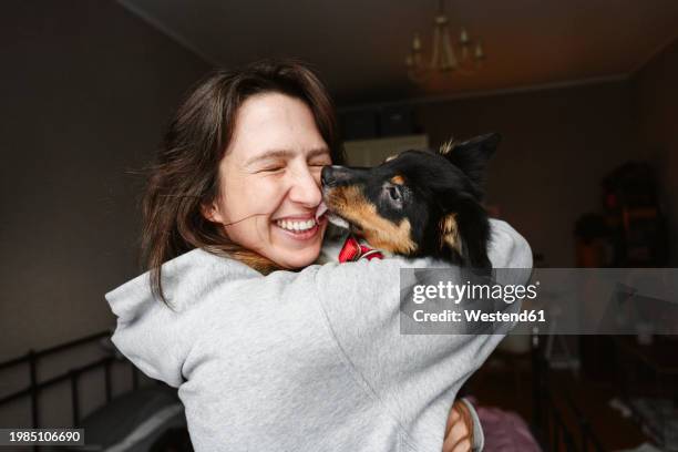 happy woman with eyes closed holding dog at home - licking stock pictures, royalty-free photos & images