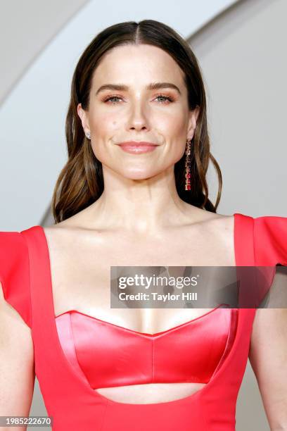 Sophia Bush attends the 2024 Fifteen Percent Pledge Gala at Paramount Studios on February 03, 2024 in Los Angeles, California.