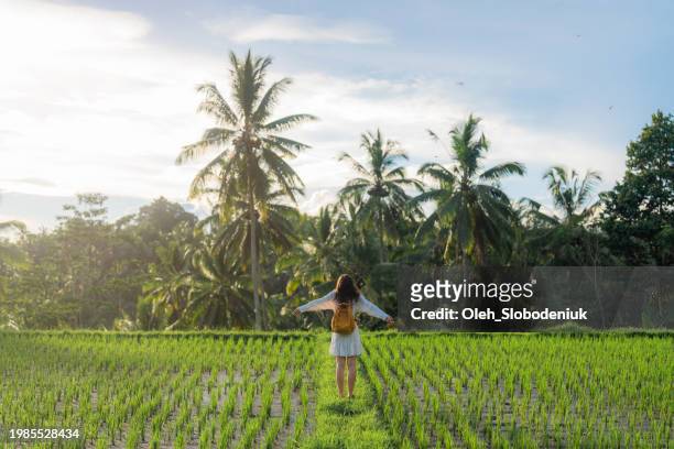 cheerful woman walking on rice paddy on bali - ubud rice fields stock pictures, royalty-free photos & images