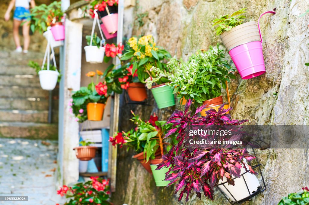 Exterior walls of house in an alley with baskets of plants hanging in a row, side view
