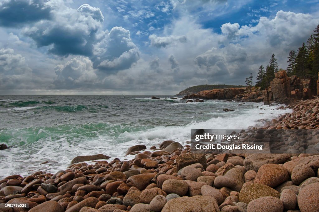 Ocean Path Trail, Acadia National Park