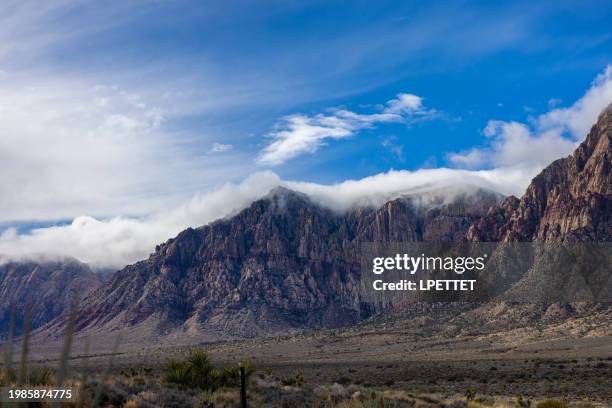 red rock canyon - nevada winter stock pictures, royalty-free photos & images