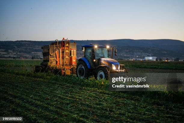 landwirt erntet am abend mit einem traktor auf dem zuckerrübenfeld auf der landwirtschaftlichen fläche - produktionsgerät stock-fotos und bilder