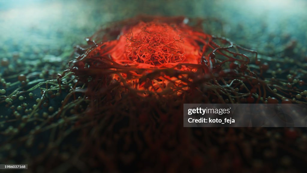 Cancer cell view