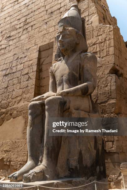 statue of a seated ramesses ii at the temple entrance - colossus stock pictures, royalty-free photos & images