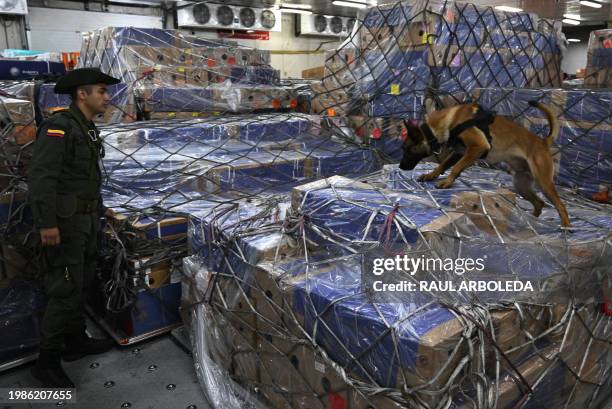 Colombian anti-drug police officer with his dog checkc packages of flowers before their export at the El Dorado International Airport in Bogota on...