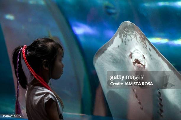 Child looks at a stingray at Manila Ocean Park in Manila on February 8, 2024.