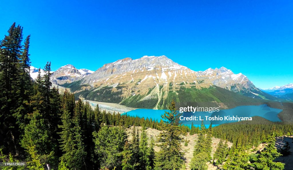Mountains and landscape in Banff National Park at Peyto Lake.