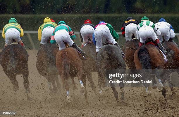 Jockey Alex Solis riding Humorous Lady leads in the turn in the Juvenile Fillies race during the 2002 Breeders' Cup World Thoroughbred Championships...
