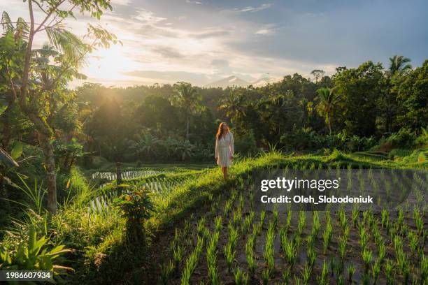 cheerful woman walking on rice paddy on bali - mt agung stock pictures, royalty-free photos & images