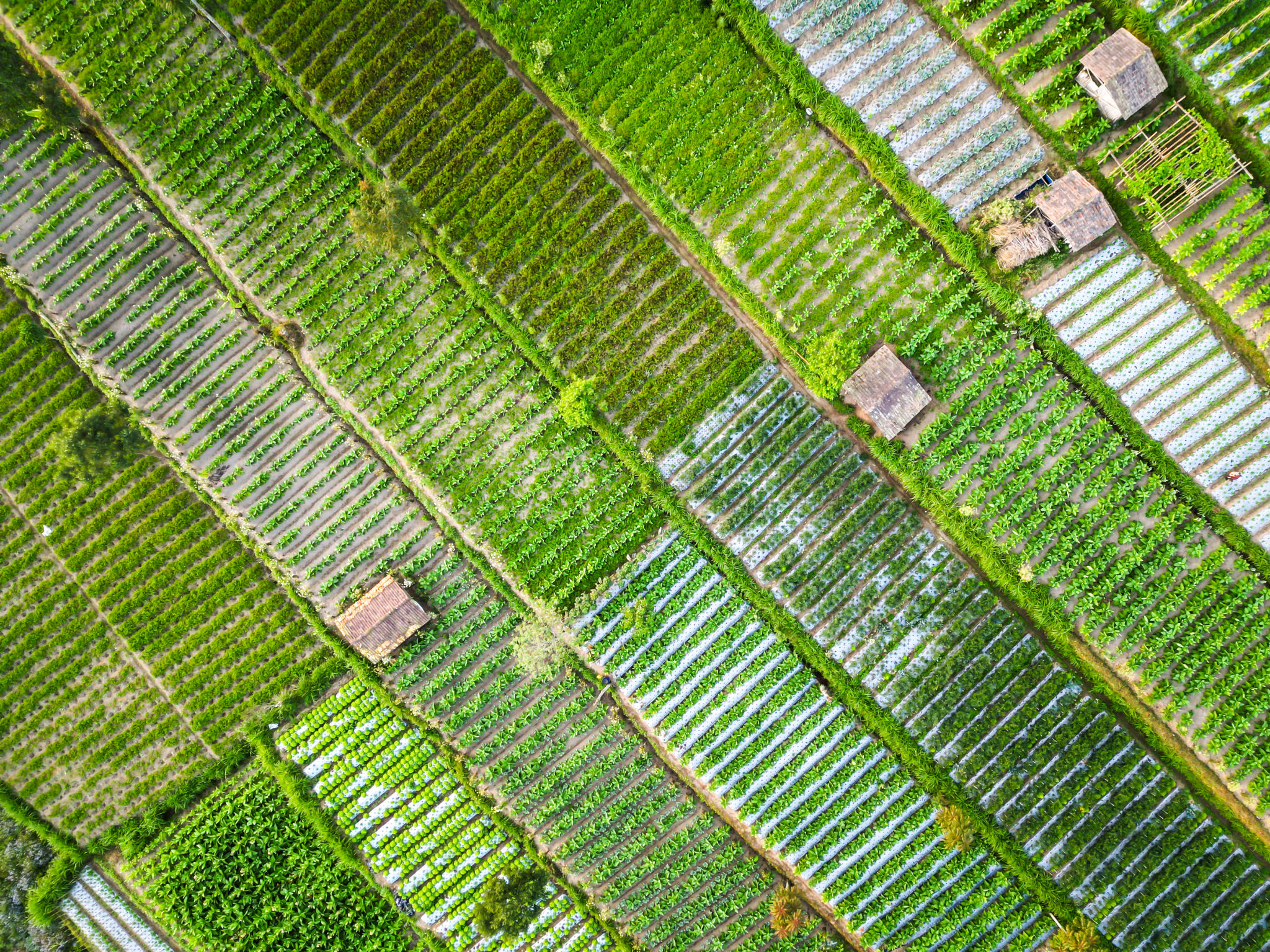 central java village
