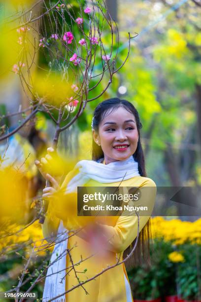 vietnamese girl wearing traditional ao dai dress, holding flower branch to enjoy the new year in vietnam. tet holiday and new year. - tet stock pictures, royalty-free photos & images