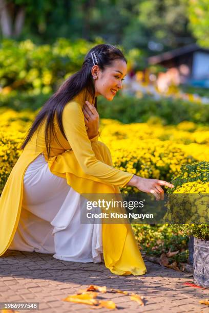 vietnamese girl wearing traditional ao dai dress, holding flower branch to enjoy the new year in vietnam. tet holiday and new year. - traditional clothing stock pictures, royalty-free photos & images