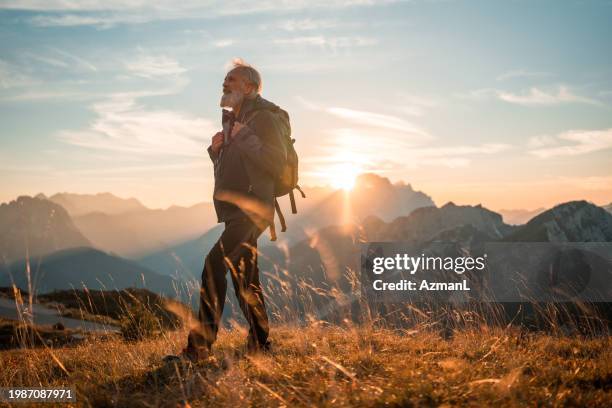 senior gemischte rasse männlich wandern und die malerische aussicht genießen - wanderer stock-fotos und bilder