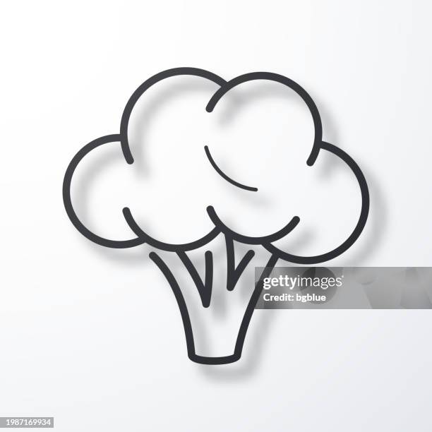 broccoli. line icon with shadow on white background - broccoli stock illustrations