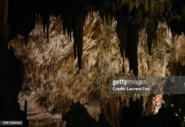 postojna cave in slovenia - grotte stock-fotos und bilder