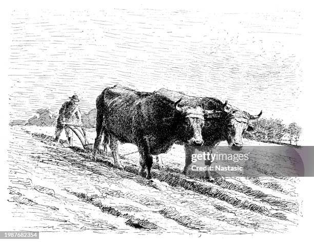 farmer ploughing - plow stock illustrations