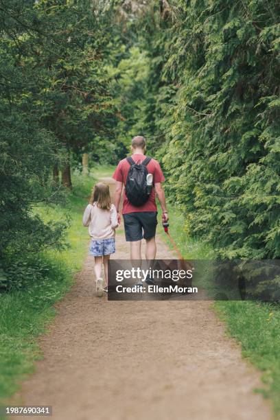 family forest walk - walking stock pictures, royalty-free photos & images