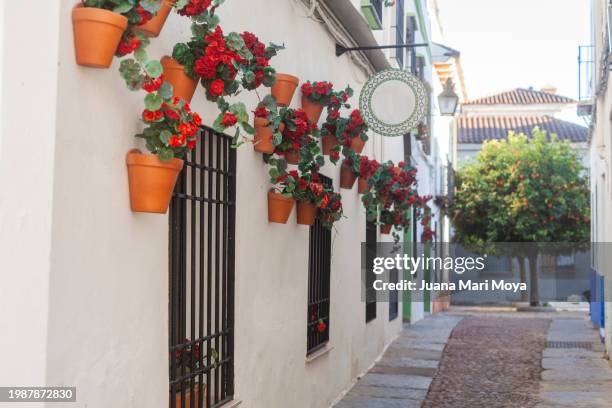 1,100 Spanish Flower Pots Stock Photos, High-Res Pictures, and Images ...