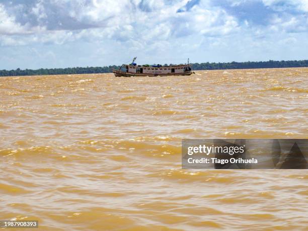 amazon river - alemanha fotografías e imágenes de stock