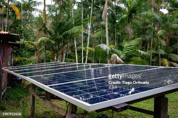 amazon - energia solar stock pictures, royalty-free photos & images