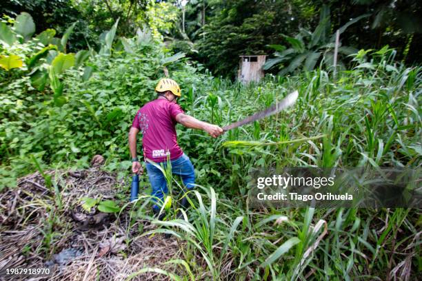 man makes way in the forest - energia solar stock pictures, royalty-free photos & images