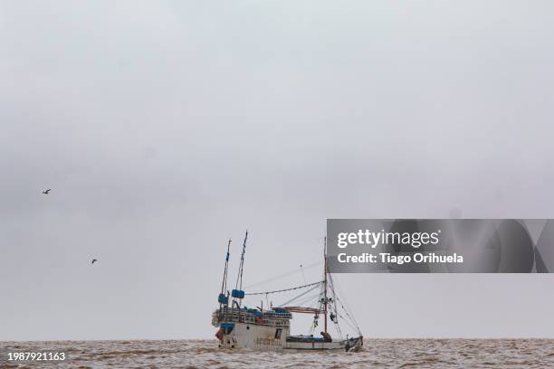 amazon river - floresta tropical stock pictures, royalty-free photos & images