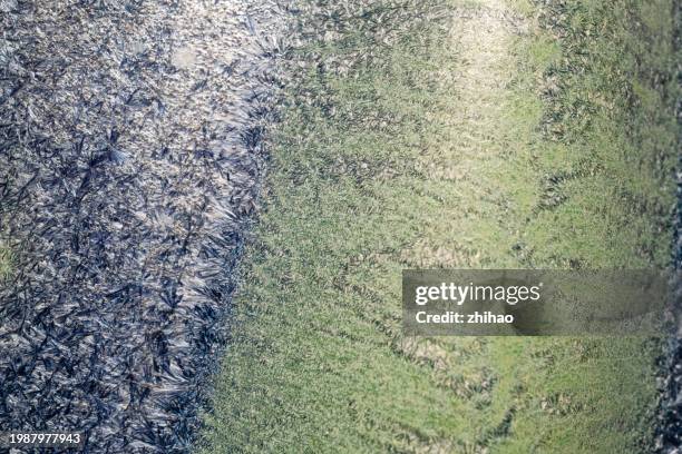 abstract background - osmosis stock pictures, royalty-free photos & images