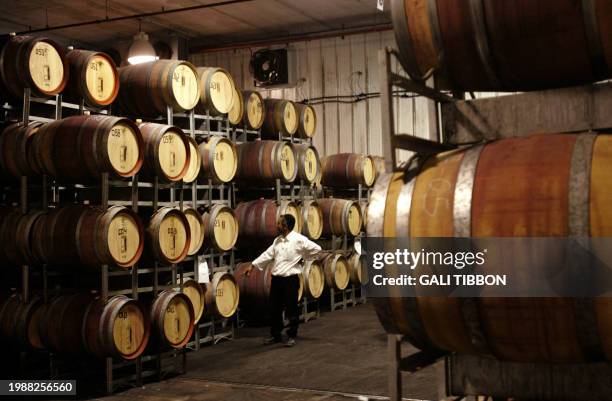 Kosher inspector Hayim Abargeal inspects wine barrels in a cooling room at the Dalton Winery in northern Israel near the border with Lebanon, 22...