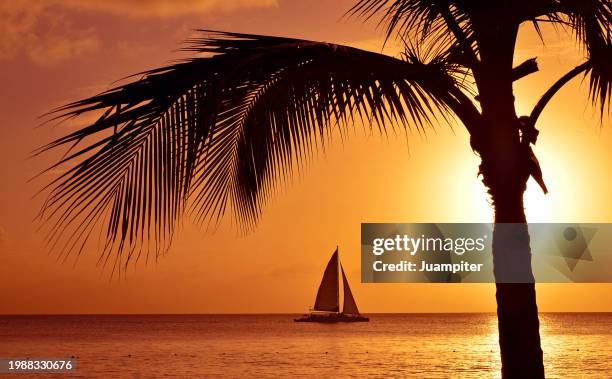yacht passing in a beautiful sunset in bayahibe, dominican republic - punta cana stock pictures, royalty-free photos & images