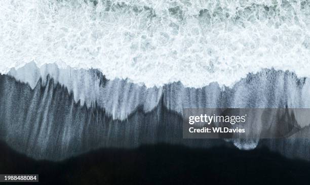 waves crashing on black sand beach - seagull flying over beach stock pictures, royalty-free photos & images