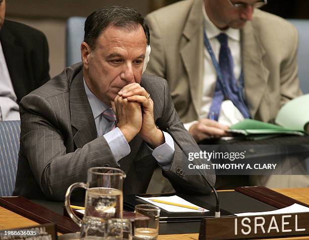 Israel Representative Permanent Representative Of Israel To The United Nations Photos and ...