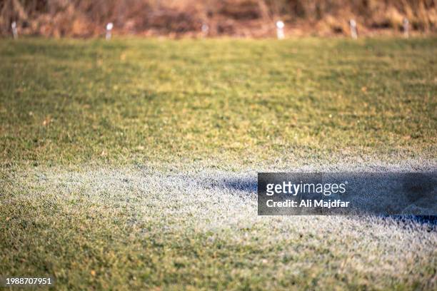 gradual frost thaw on lawns - water whorl grass stock pictures, royalty-free photos & images