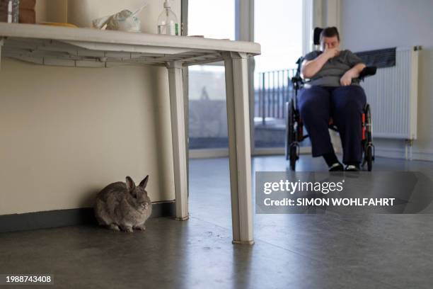 Lydie Imhoff reacts as she is about to leave her rabbit in Besançon, France on January 30, 2024. Lydie Imhoff, a 43 year-old French citizen suffering...