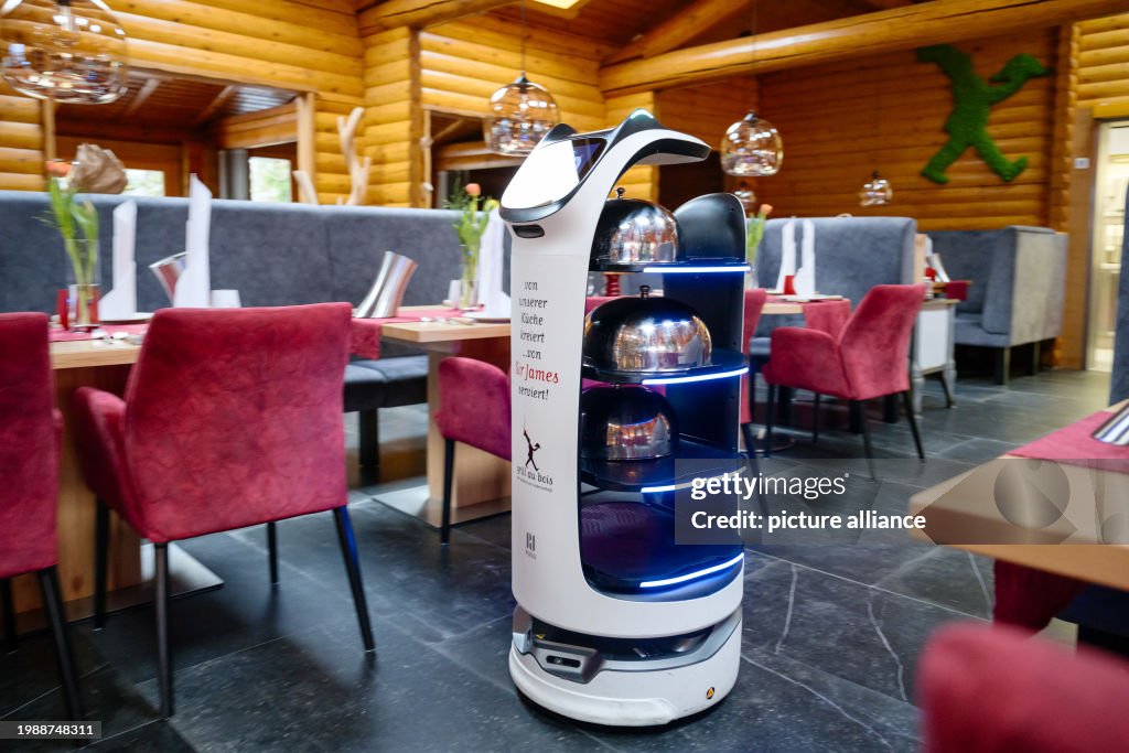 Robot In Rables Robot