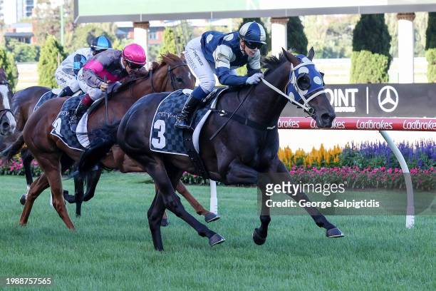 Simeon ridden by Celine Gaudray wins the The Entry Education Valley Summer Middle Distance Series Heat 1 at Moonee Valley Racecourse on February 09,...
