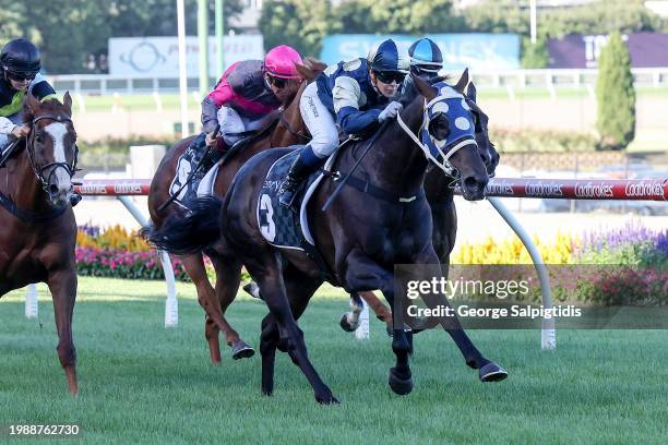 Simeon ridden by Celine Gaudray wins the The Entry Education Valley Summer Middle Distance Series Heat 1 at Moonee Valley Racecourse on February 09,...