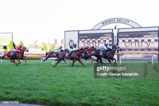 Simeon ridden by Celine Gaudray wins the The Entry Education Valley Summer Middle Distance Series Heat 1 at Moonee Valley Racecourse on February 09,...