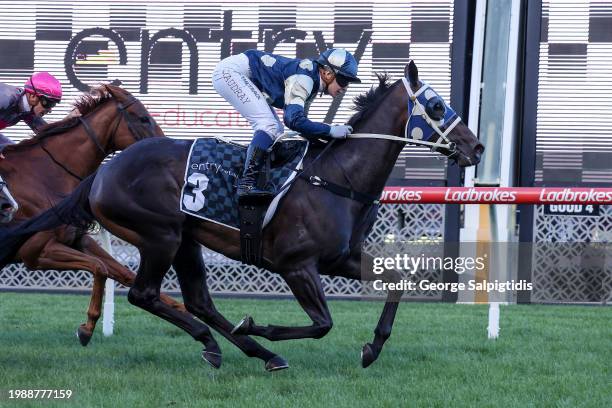 Simeon ridden by Celine Gaudray wins the The Entry Education Valley Summer Middle Distance Series Heat 1 at Moonee Valley Racecourse on February 09,...