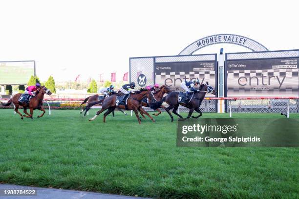 Simeon ridden by Celine Gaudray wins the The Entry Education Valley Summer Middle Distance Series Heat 1 at Moonee Valley Racecourse on February 09,...