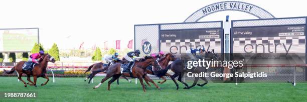 Simeon ridden by Celine Gaudray wins the The Entry Education Valley Summer Middle Distance Series Heat 1 at Moonee Valley Racecourse on February 09,...